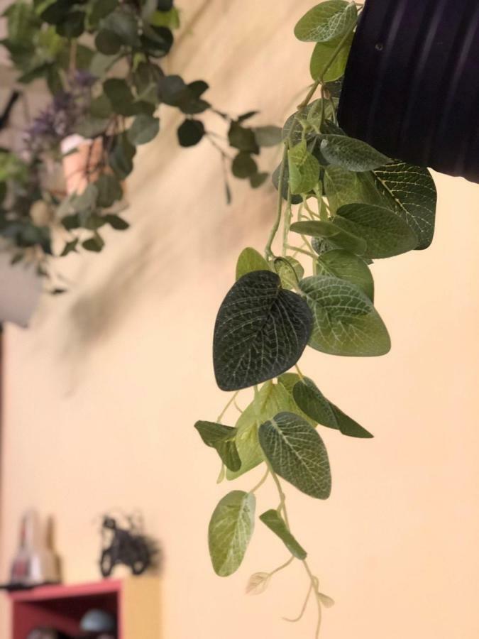 Dearhouse Apartman Tajnan Kültér fotó